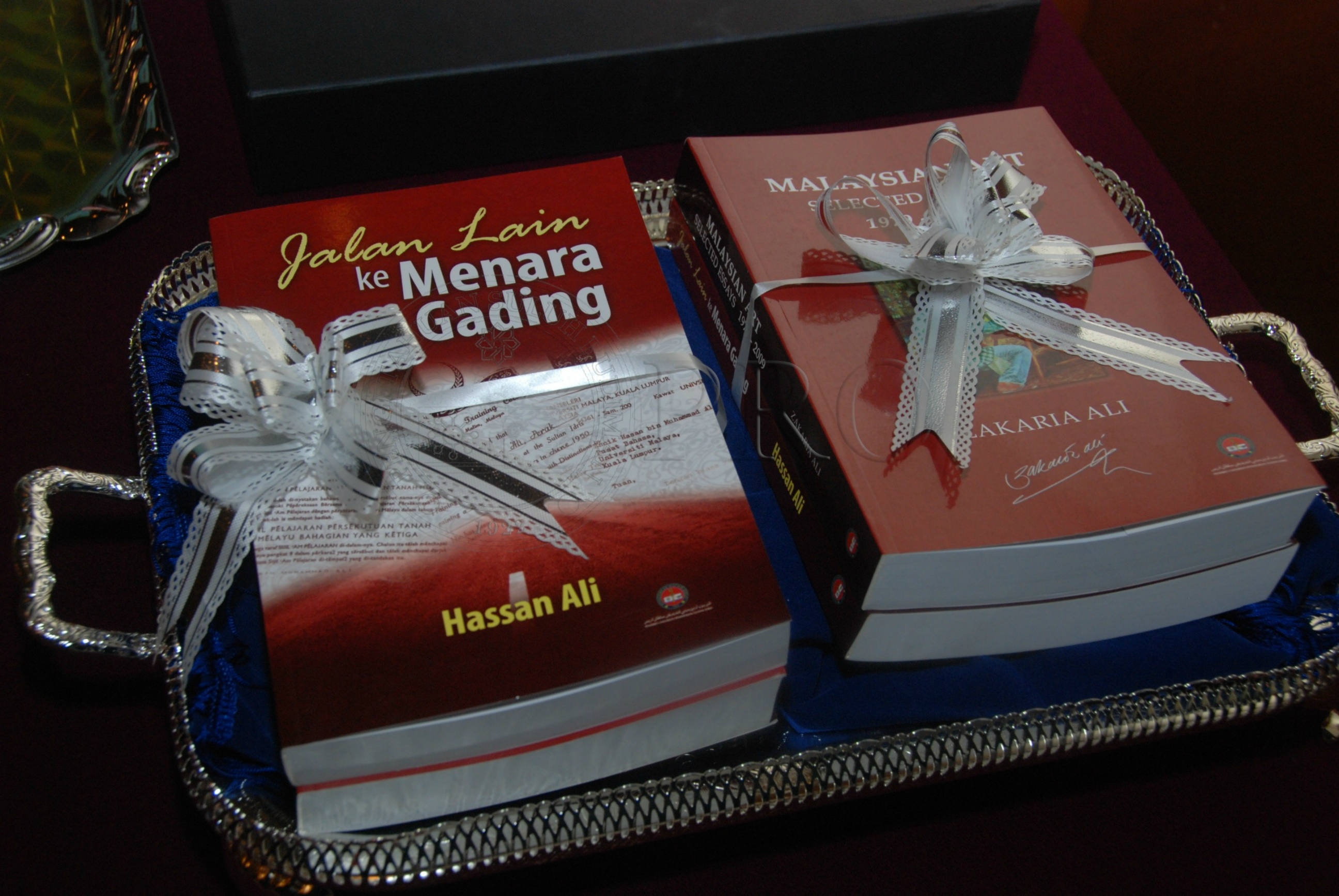 PRO 12 120 upi DSC 5790